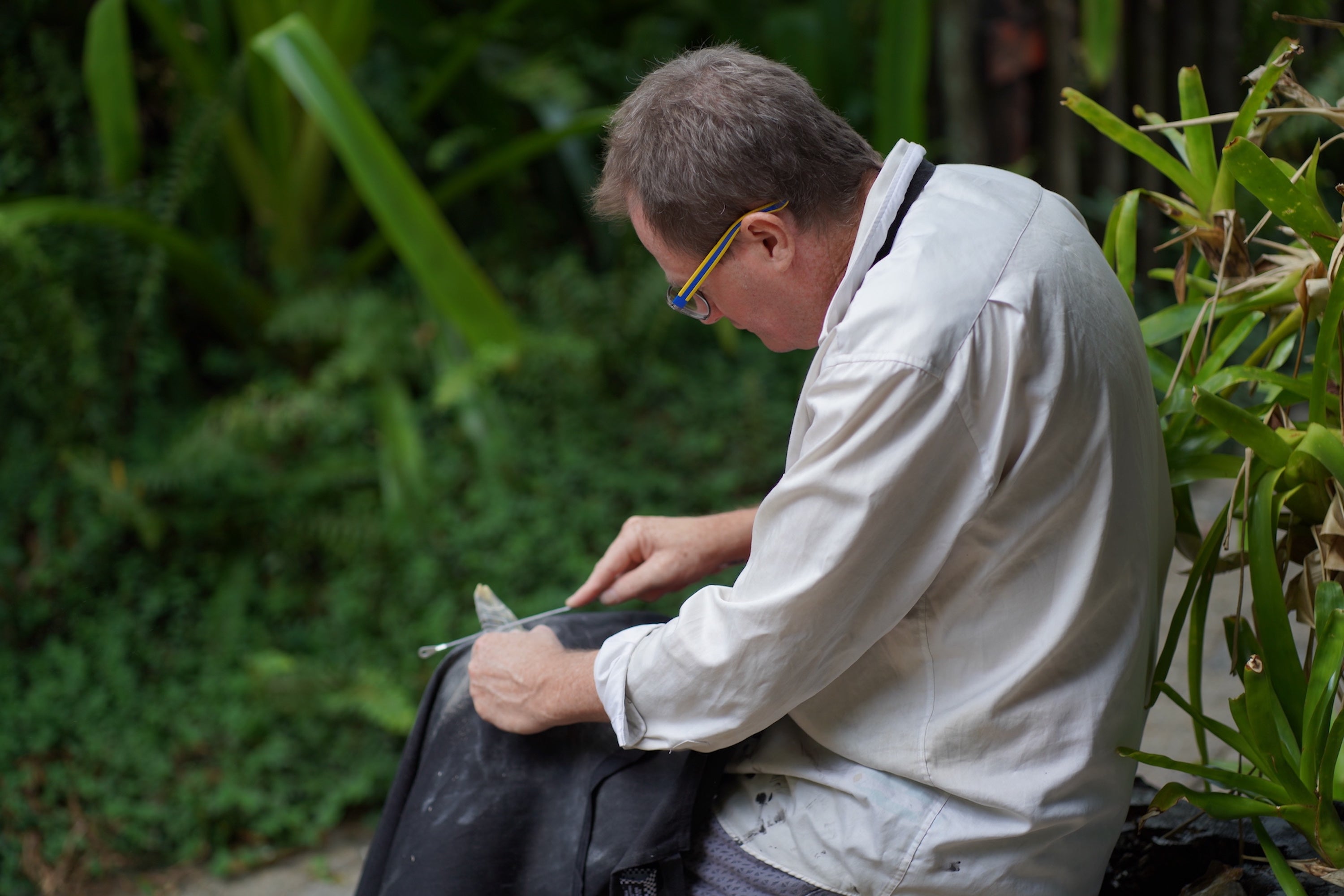 ステファニーコーム誕生の秘話