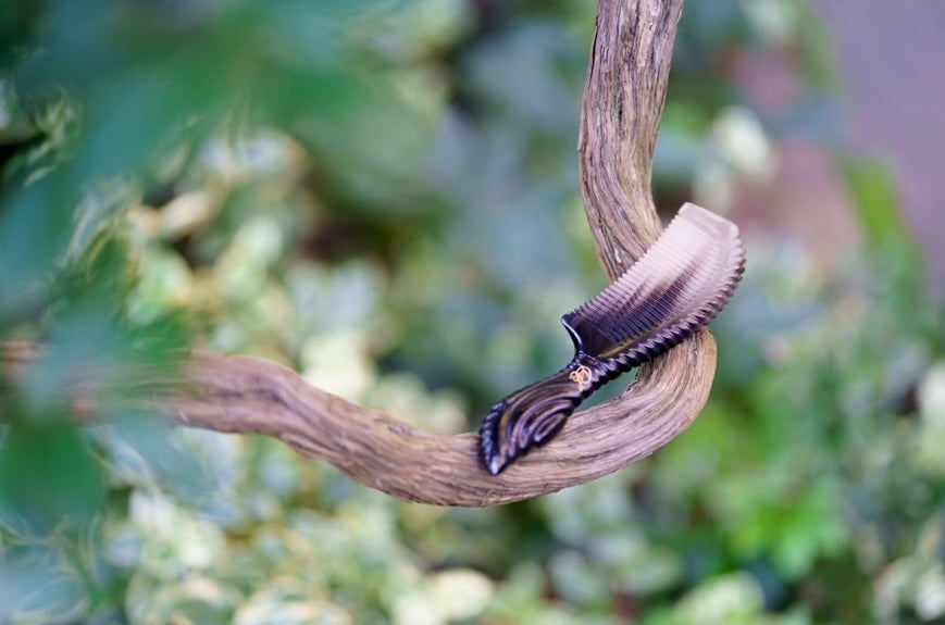 Buffalo_Series.png?v= Buffalo_Series.png?v=