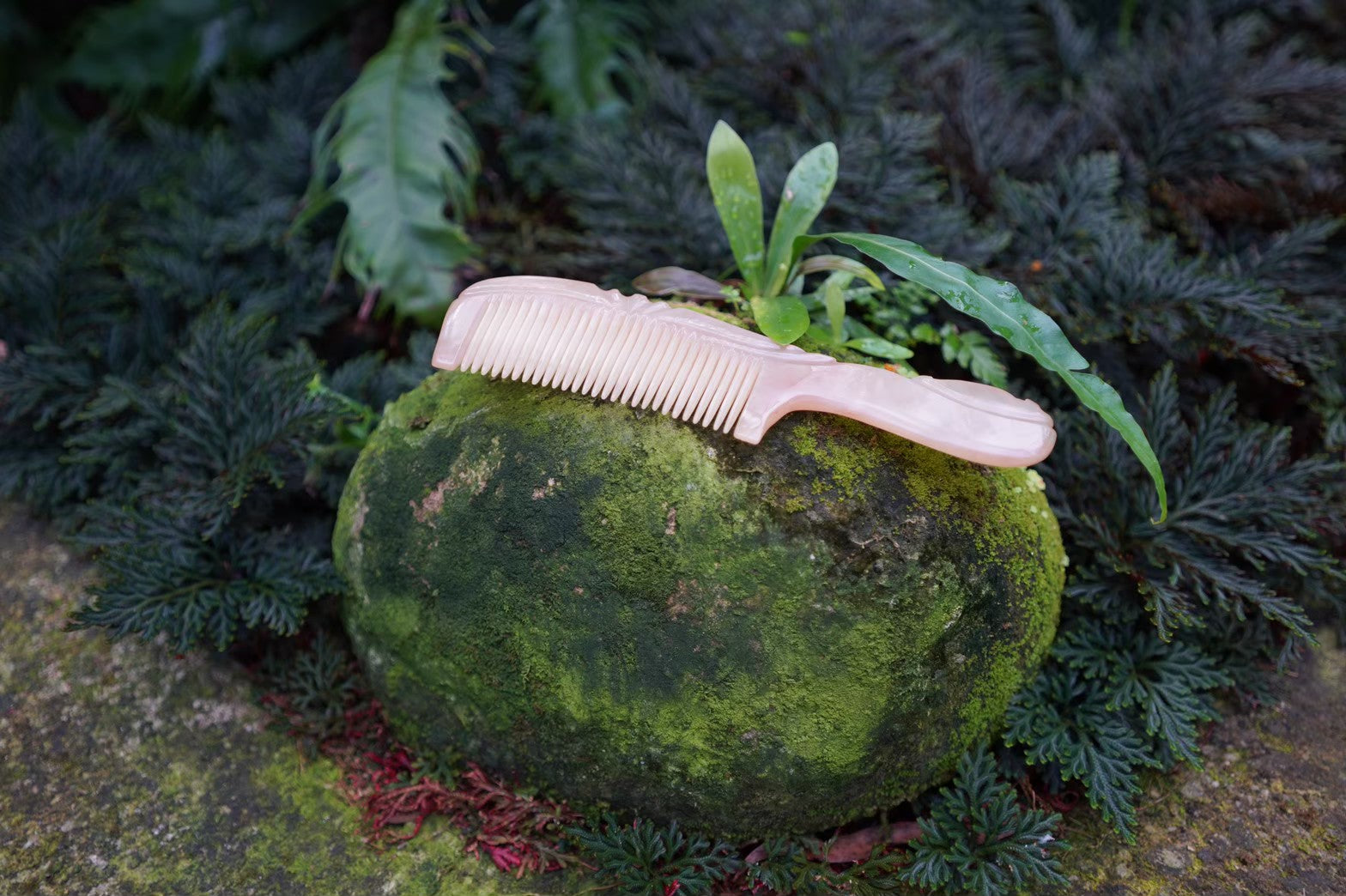 Lanolin_Sheep_Series.png?v=