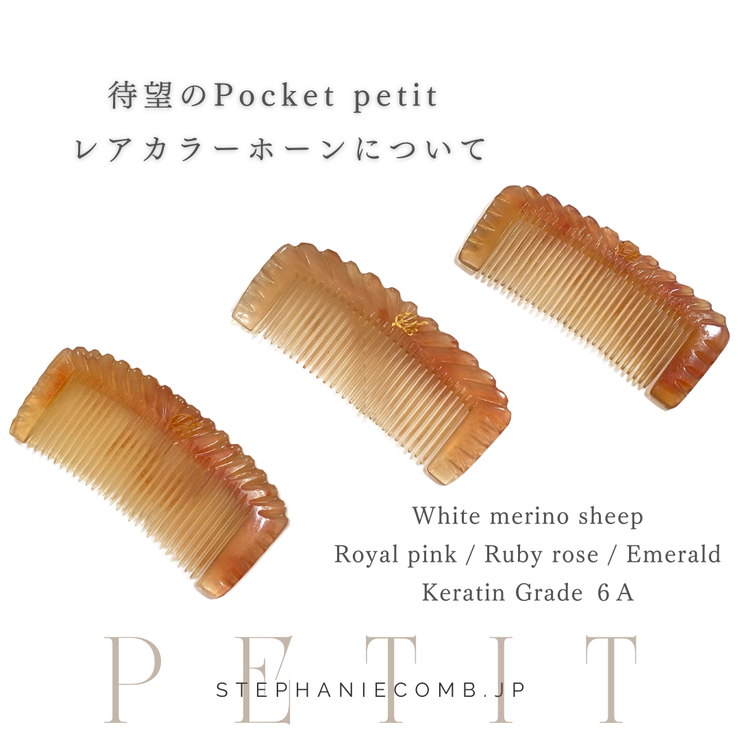 Pocket Petit レアホーン入荷！